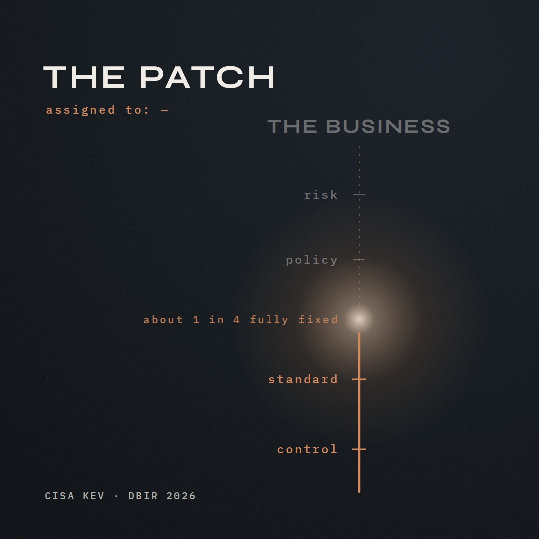 A copper line rises through ticks labeled control and standard, then breaks at a point of warm light labeled &ldquo;about 1 in 4 fully fixed.&rdquo; Above the break it continues only as a faint dotted line through policy and risk to THE BUSINESS. At top left: THE PATCH, assigned to: a blank dash.